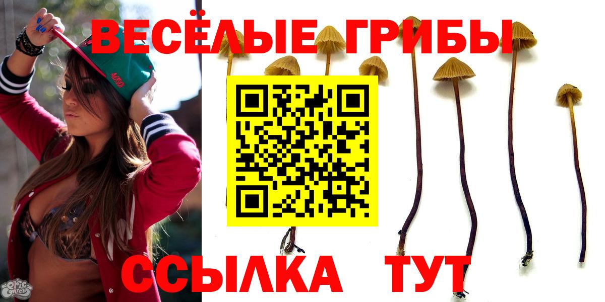 Псилоцибиновые грибы Magic Shrooms Сергиев Посад